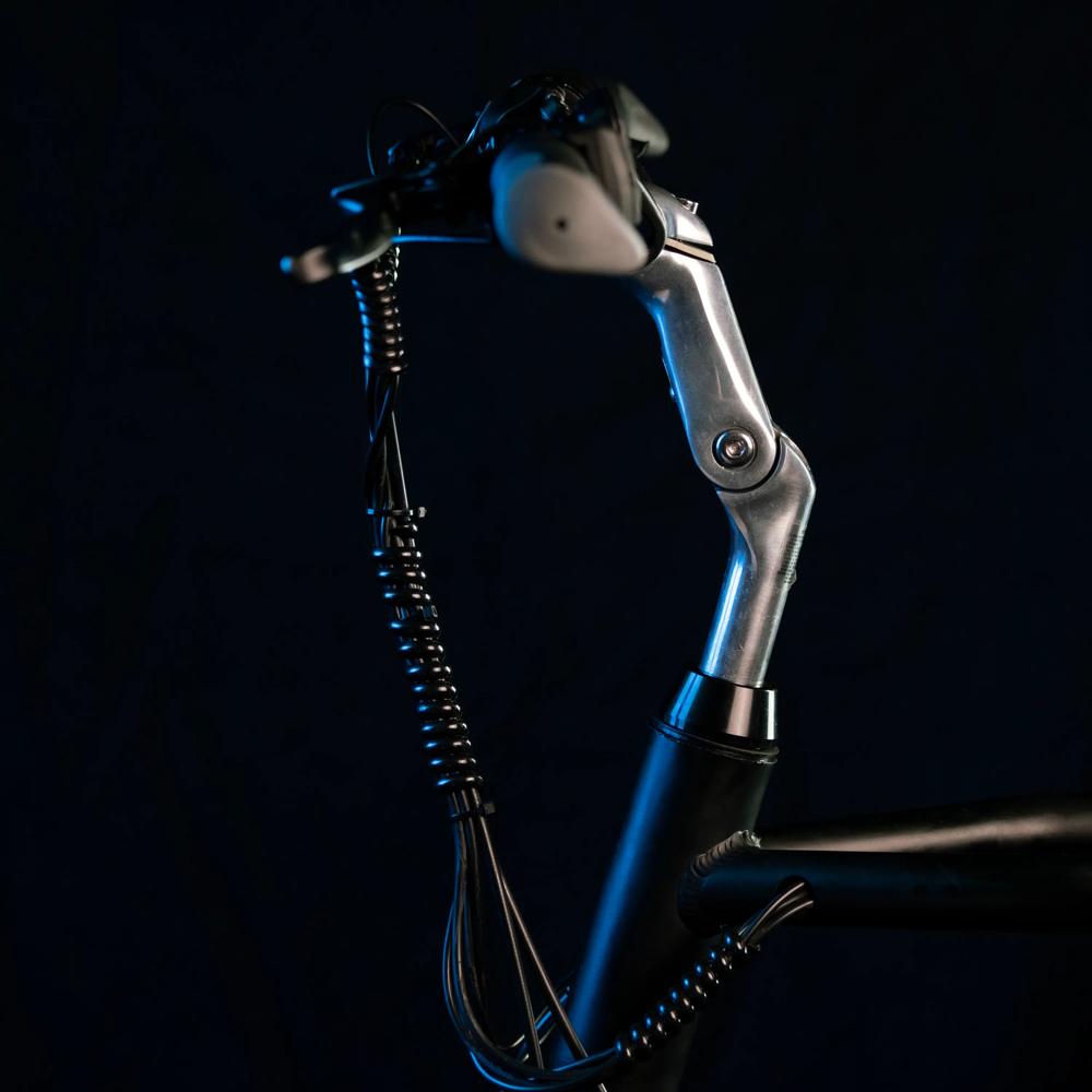 EMOVE ROADRUNNER - MONO MOTO